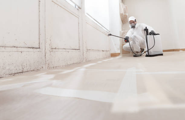 24/7 Emergency Black Mold Remediation experts in Farmington, PA